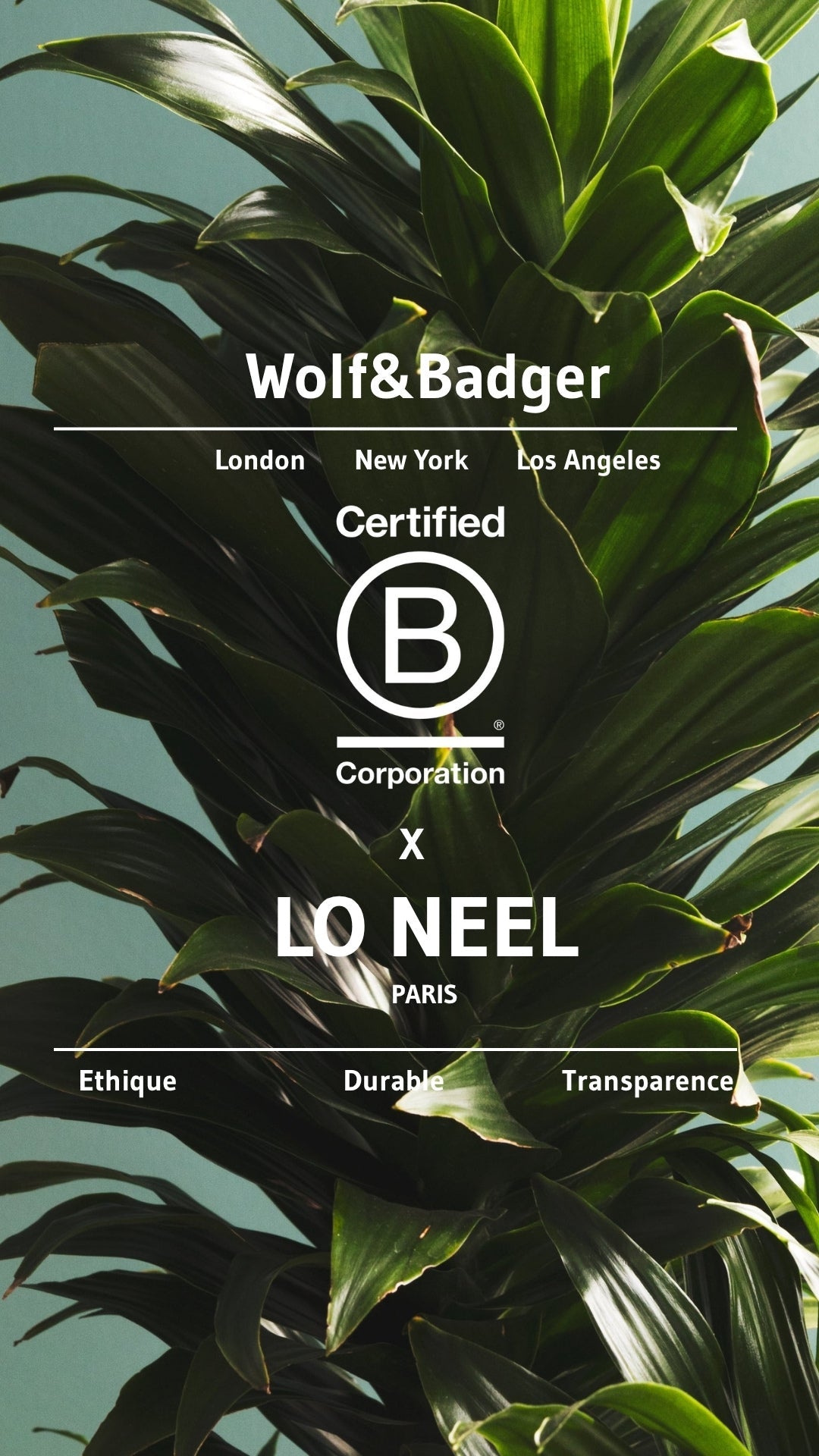 LO NEEL rejoint enfin la communauté Wolf&Badger !