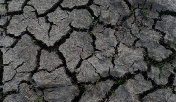 #4 La dégradation des sols
