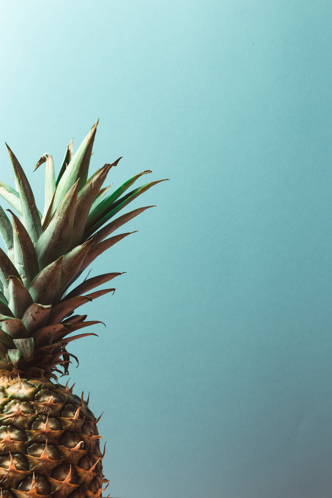 Ananas Anam & Piñatex : Quand l'ananas révolutionne la mode éthique