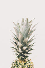 Fibre d'ananas