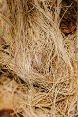 Fibre de soja
